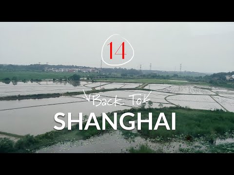 Bye bye Fenghuang | ep.14