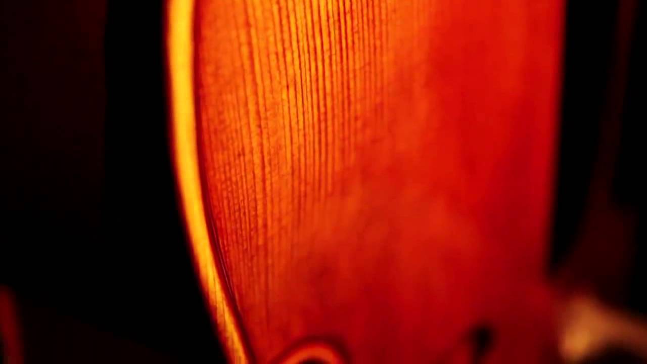 Emanuel Wilfer - Double Bass, 5 strings Modell