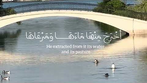 قرآن كريم صوت جميل وهادى وفي كل مشهد… آية من الجمال ✨ | Signs of Beauty