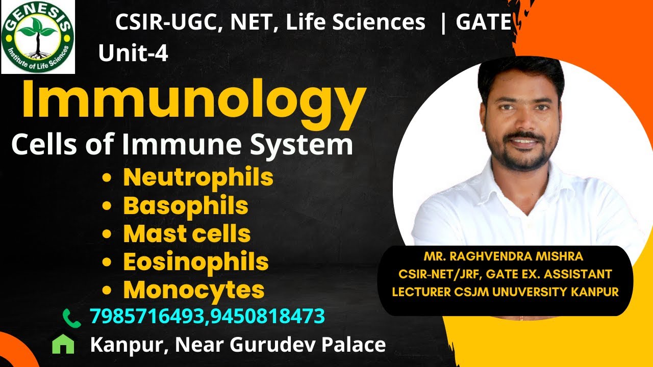 Cells of Immune System | Neutrophils, Basophils, Eosinophils, Monocytes |#genesis_institute