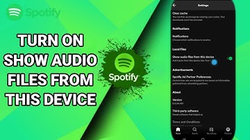 How To Turn On Show Audio Files From This Device On Spotify Music And Podcasts App