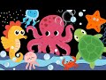Ocean Wonders Baby Sensory High Contrast Visual Stimulation With Music 