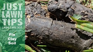 How to amend and improve clay soilxsoil soil
amendmenthttps://yardmastery.com/collections/fertilizers-granular/products/xsoil-fertilizer-amendmentbio
stimula...
