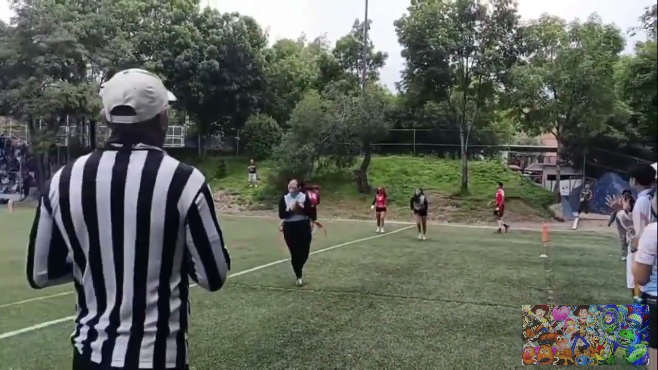 TOY'S 🆚 BODOQUES MIXTO 