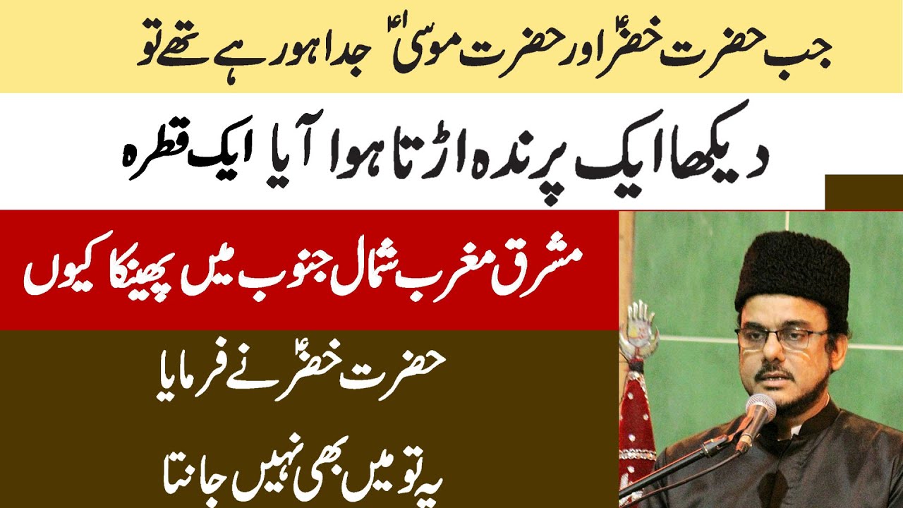 Доктор Маджид Раза Абиди | Один учёный превыше всех учёных