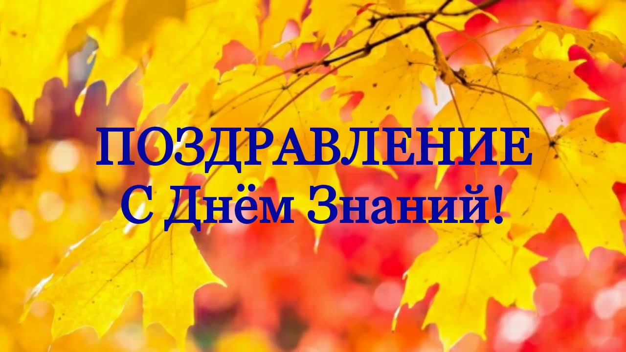 Поздравление директора Лицея С Днём Знаний!