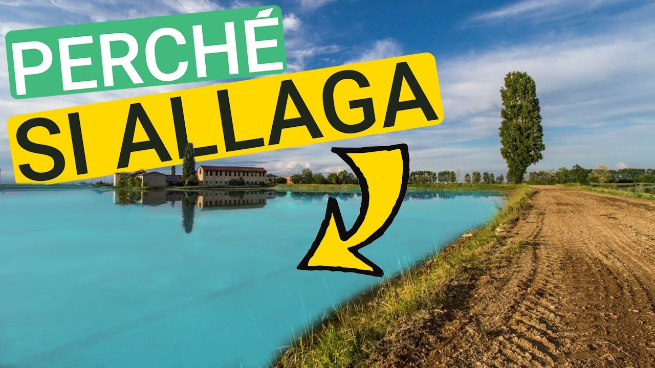 Perché si SOMMERGE il RISO??