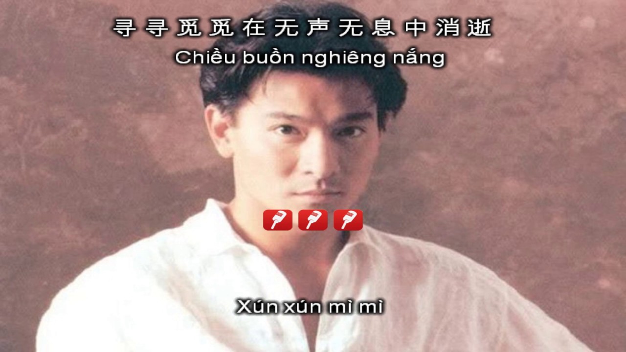 KARAOKE song ngữ TÌNH NHẠT PHAI | 來生緣 - Lưu Đức Hoa