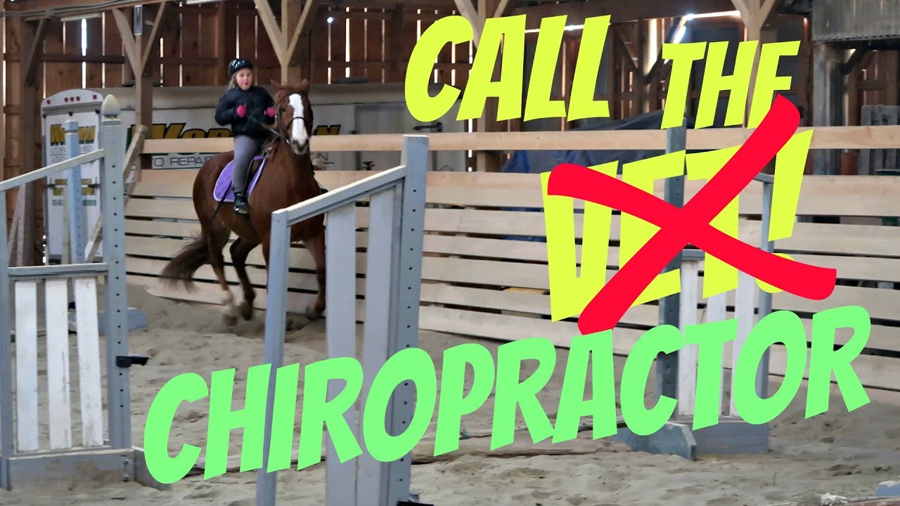 TIME TO CALL THE EQUINE CHIROPRACTOR! Day 058 (02/27/18) YouTube