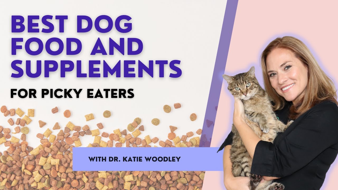 Best dog food and supplements for picky eaters YouTube