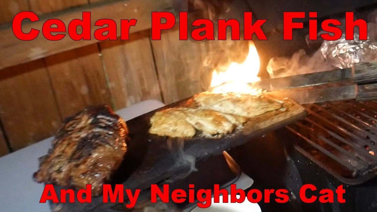 Catch And Cook Cedar Plank BBQ Snapper And My Neighbors Cat YouTube