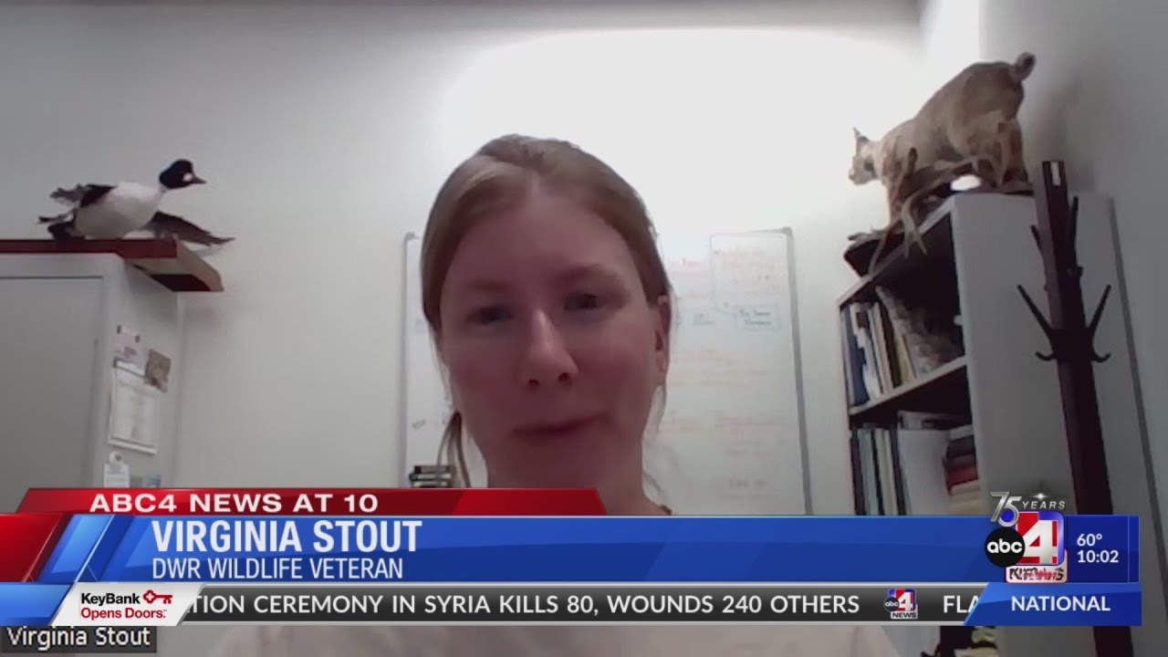 Alarming number of birds killed by suspected avian botulism