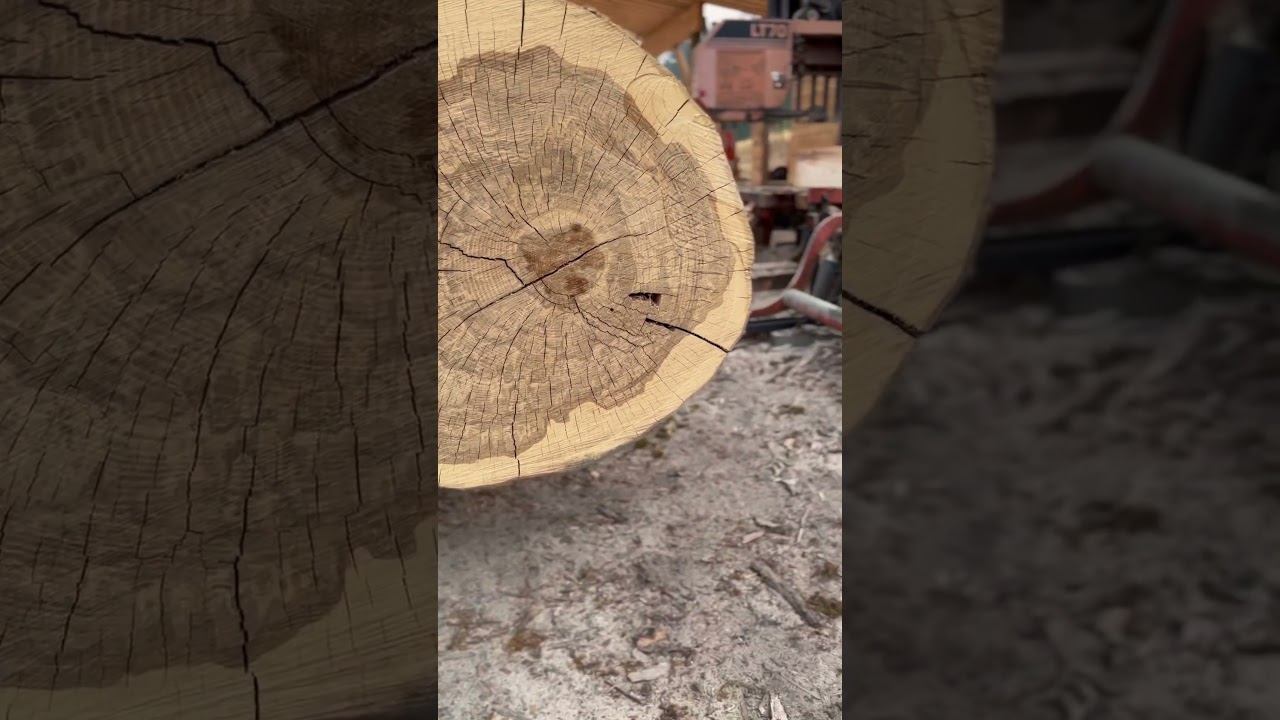 Final Ash log in inventory 