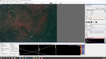 idas nb1 - The Elephant