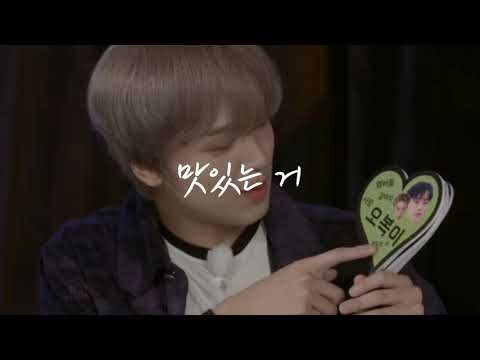 [NCT 정우] 강아지하면 생각나는 페이보릿 키워드