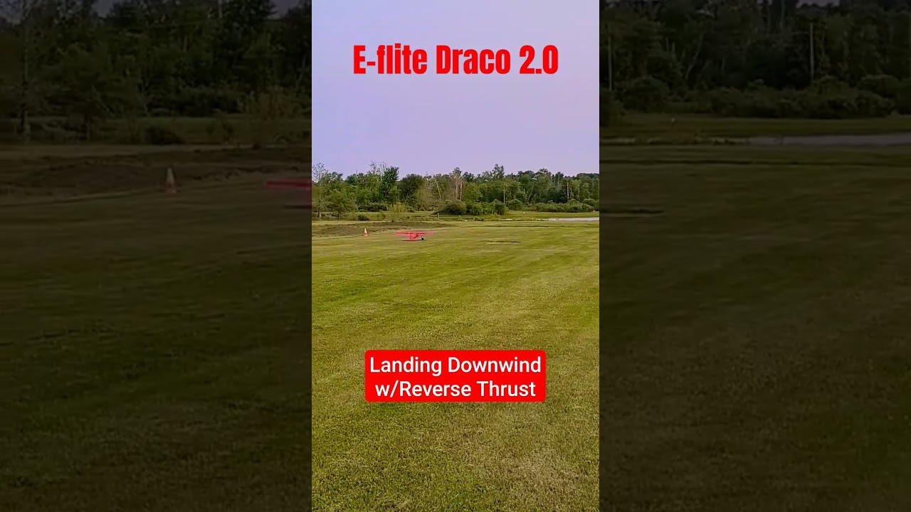 E-FLITE DRACO 2.0 LANDING DOWNWIND W/REVERSE THRUST!!! 