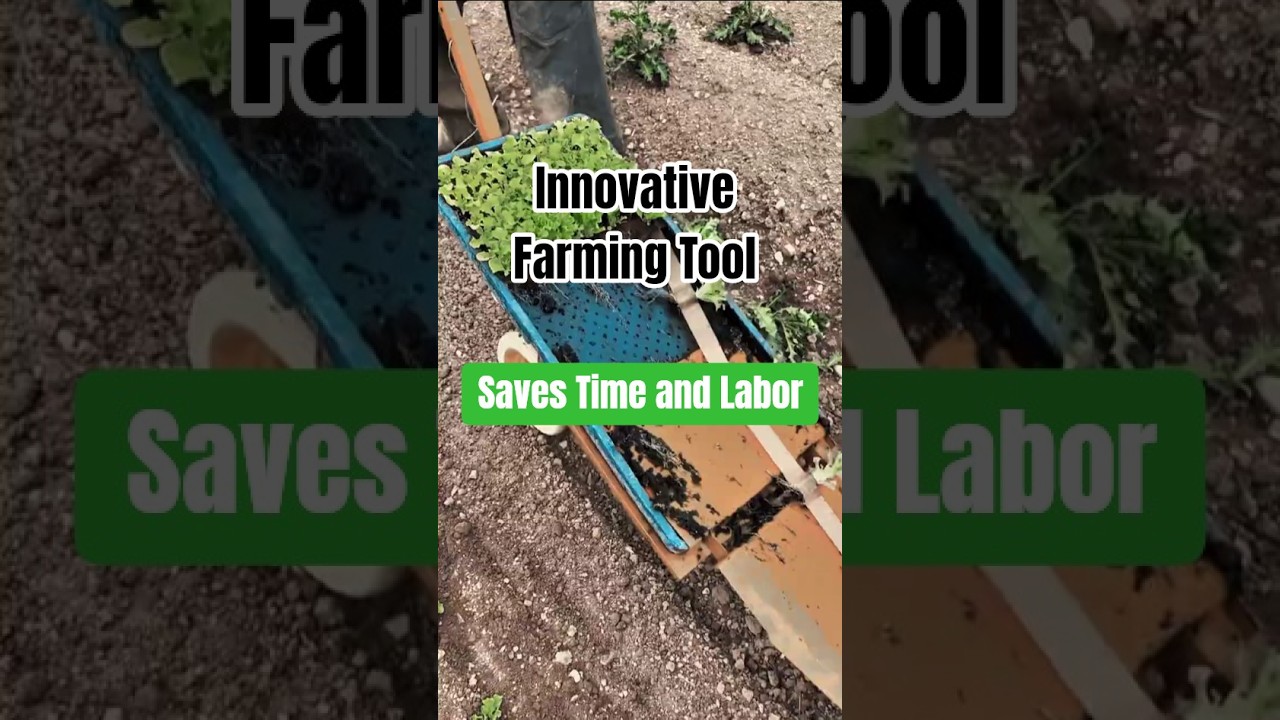 Innovation Farming Tool: Manual Transplanter for Smart Work