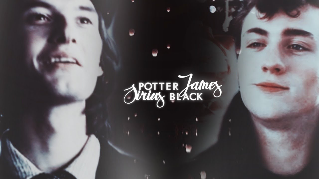 ● sirius black & james potter | brother