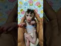 Newborn Baby Monkey Chico 🥰