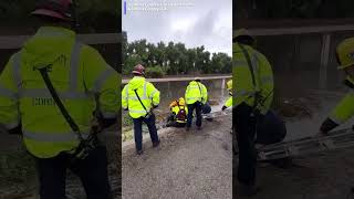 Fire crews rescued this dog that was trapped surrounded by fast-moving water in a flood channel.
