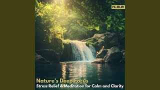 Rainforest Harmony - Deep Focus Meditation