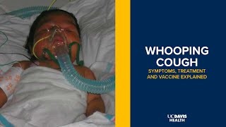 Whooping Cough Pertussis Symptoms, Treatment And Vaccine Explained Uc Davis Childrens Hospital