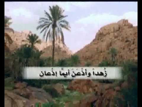 قناة وصال قصيدة الادريسي Flv 