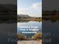 Free Spot in Faridabad… But Timing Ruined It! | Badkal Lake Faridabad #spottedonshorts
