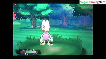 Pokémon Omega Ruby (Nintendo 3DS) Let