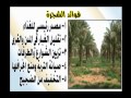 اسبوع الشجرة 1433هـ ـمدرسة الصفة الثانوية 
