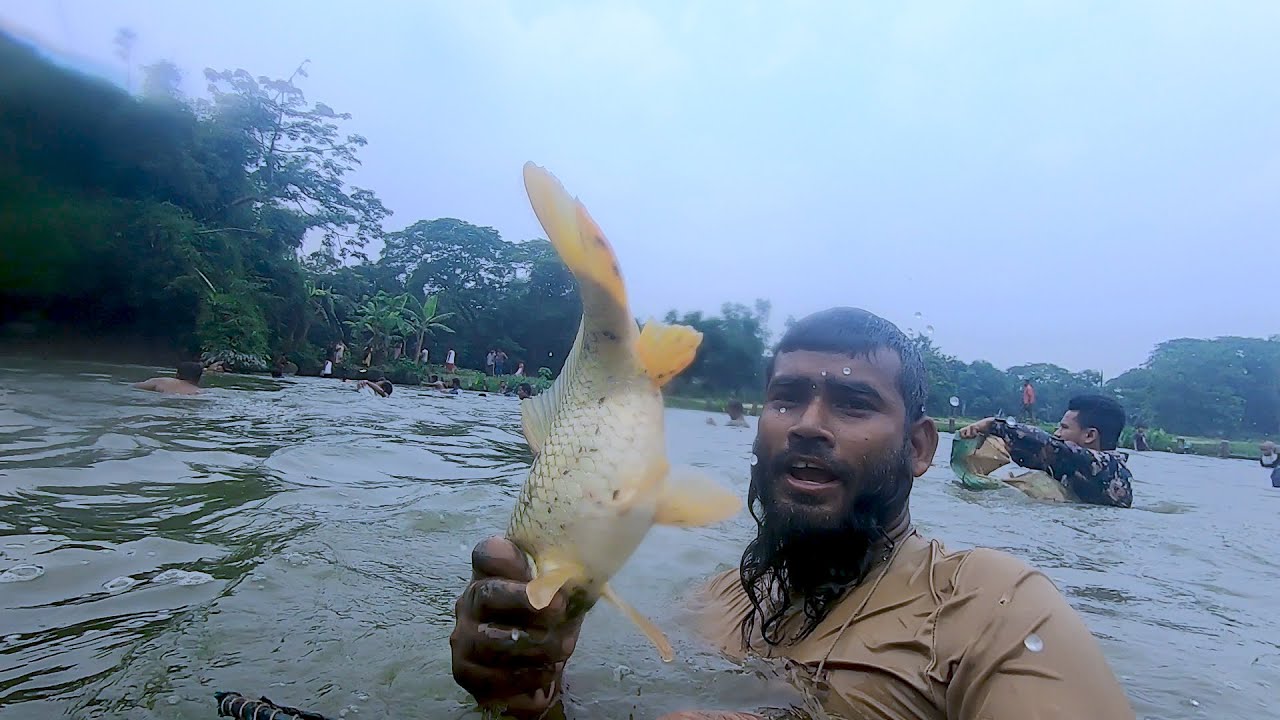 This is too hard fish hunting video in Bangladesh. Saima Fishing