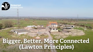 Bigger, Better, More Connected (Lawton Principles)