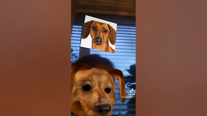 my sister funnie tiktoks