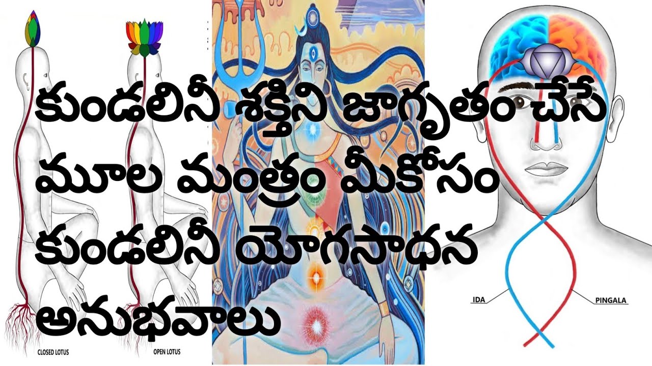 kundalini sadhana / #kundalini / kundalini awakening kundalini mantra NAGA MUDRA NAGA MUDRA CHANNEL 