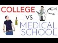 Medical School vs College Comparison