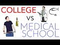 Understanding the Path to Becoming a Doctor