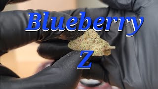 Blueberry Z - California Gold Farm - THCa Flower Review