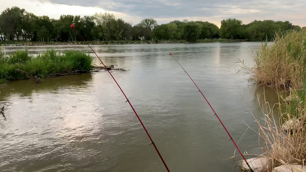 South Platte River Carp fishing YouTube