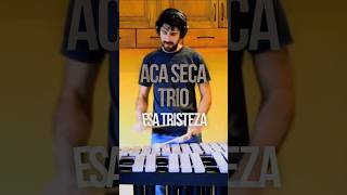 🚀Aca Seca Trío 🤩🎉🎶 A. Beeuwsaert solo transcription #acasecatrio #transcription