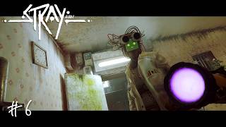 ZURK用の武器を研究するアウトサイダー　#6 【Stray】