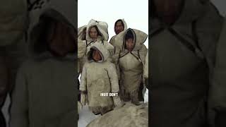 What Does Inuit Mean shorts