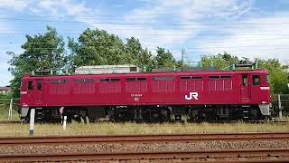 スイッチャーNO.2 + EF81 134 / #ATゲート 〜 将軍野踏切① 【2022/09/22】