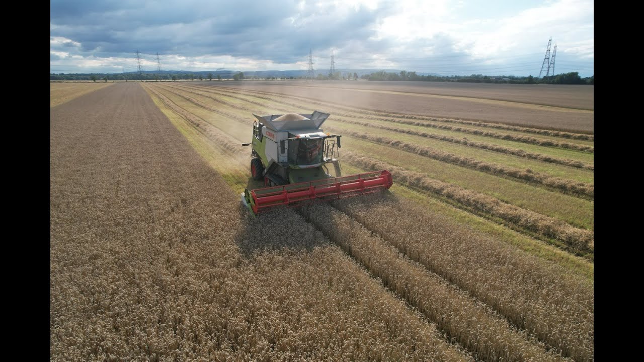 Brand new Claas Trion 650TT in wheat with Hodge Agriculture Dunmore home farm