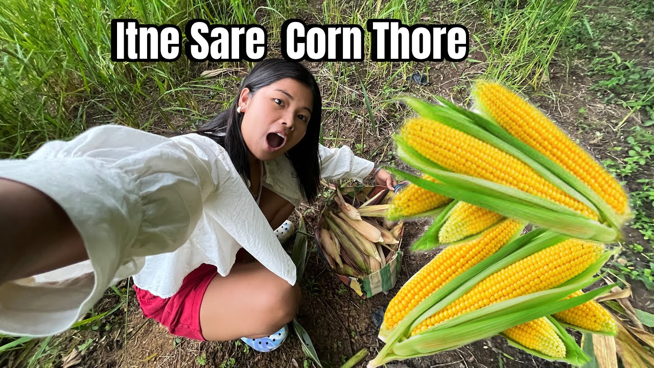 Itnae Sarae Corn 🌽| Ham Gaye Khet Mae Family Ke Sath 💗