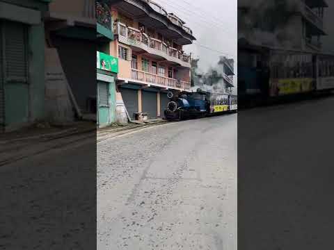 #shorts #youtubeshorts #darjeeling