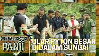 GIANT PYTHON IN THE RIVER - PANJI'S ADVENTURE
