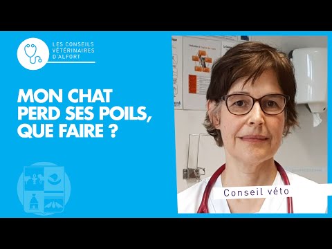 Vidéo: Pourquoi mon chat perd-il du poids? FAQ sur l'hyperthyroïdie féline