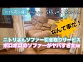 ニトリさんのソファー引き取りサービス・ボロボロのソファーがヤバすぎ 