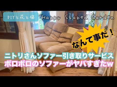 ニトリさんのソファー引き取りサービス・ボロボロのソファーがヤバすぎ 