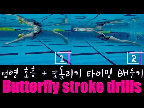 ENG) Lee Hyun-jin swimming / butterfly swimming drill / how to butterfly stroke / butterfly strok...